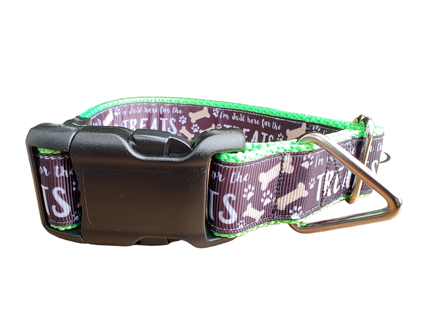 Here For The Treats Neon Green Nylon Dog Collar, Leash: Large